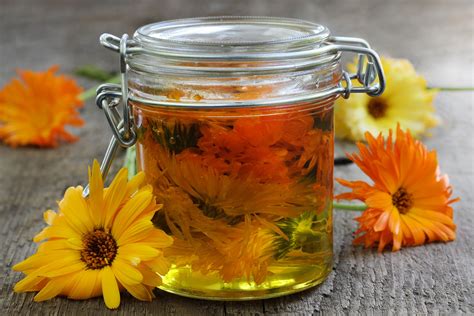 Calendula: Oil & Extract Benefits for Natural Skincare.