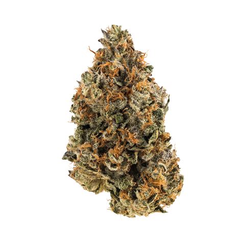 🔥 (SEX) Cali.Kush Leaks