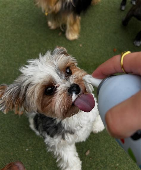 Cali_Xoxo Cali_Barra05 Onlyfans Leaked [HD] 💦 145 Pics