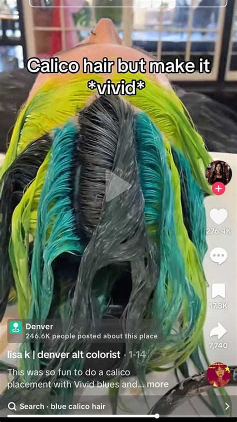 Calico Hair Color Placement Chart