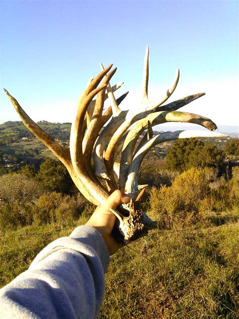 California Shed Hunting - Facebook