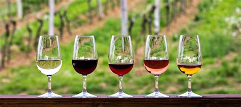 California Wine tasting & winery tours - GetYourGuide