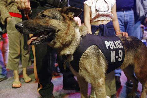 California bill would prohibit K9 units from using force on people