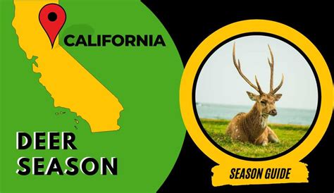 California deer tags available Hunt Talk