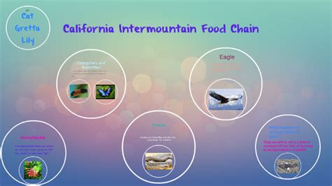 California intermountain food. The California-Intermountain Region is located between the mountain ranges of the Rocky Mountains on the east and the Cascade Range and Sierra Nevada on the west and along the Pacific Ocean. ... mollusks, shellfish, sea lions, orcas, and seals. The fish and animals could be used for food, while the shells and bones could be used for decorations ... 