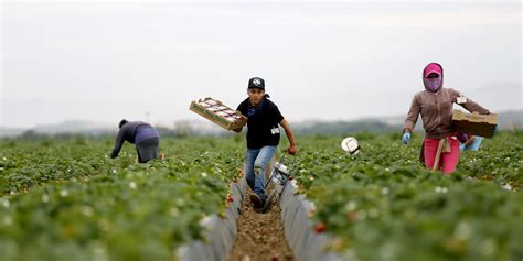 California is facing an 'agricultural crisis'