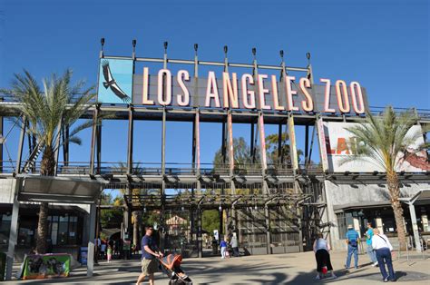 California los angeles zoo. This view of the Los Angeles Zoo shows the area slated for redevelopment. The 20-acre expansion of the zoo would include a new hilltop Yosemite lodge-style California Visitor Center with sweeping ... 