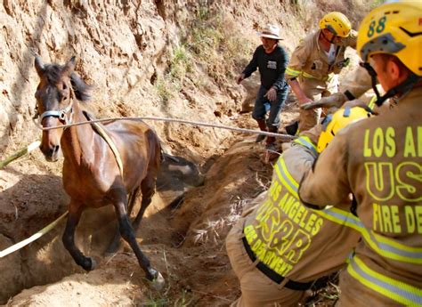 California rescuers save horse wedged upside-down in narrow gully