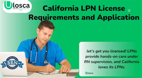 California rn license verification.  DCA License Search Use this online se...
