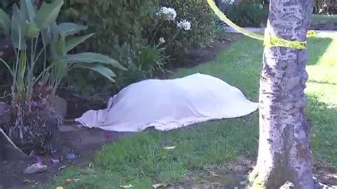 California woman wakes up to dead bear on lawn