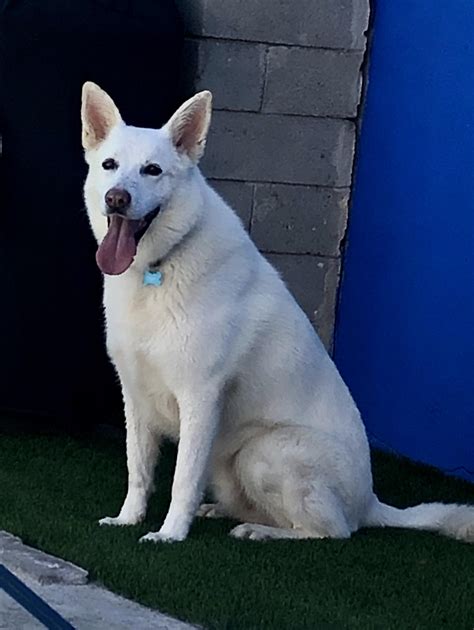 Calijersey Leaks XXX 💦 233 Vids