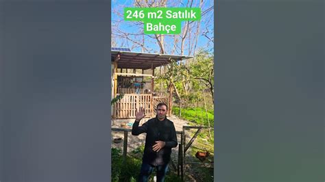 Calioba Halı ve Koltuk Yıkama