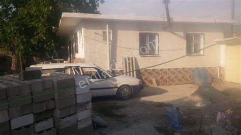 Calisli Halı ve Koltuk Yıkama