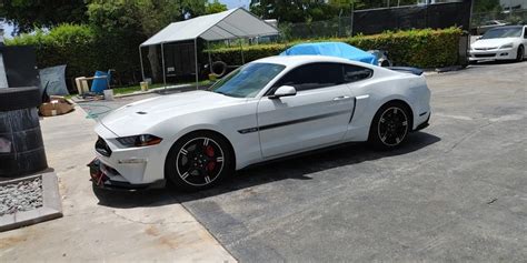 🔥 Calistang Leaked PORN 194 Pics