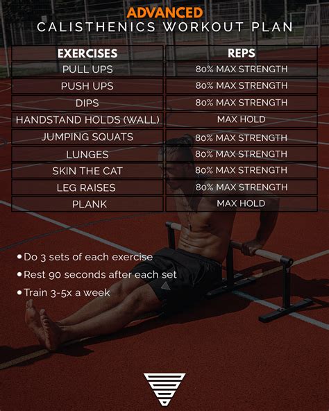 Calisthenics Workouts At Home For Beginners Blog Dandk