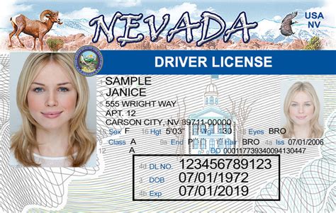 Call Back - Nevada