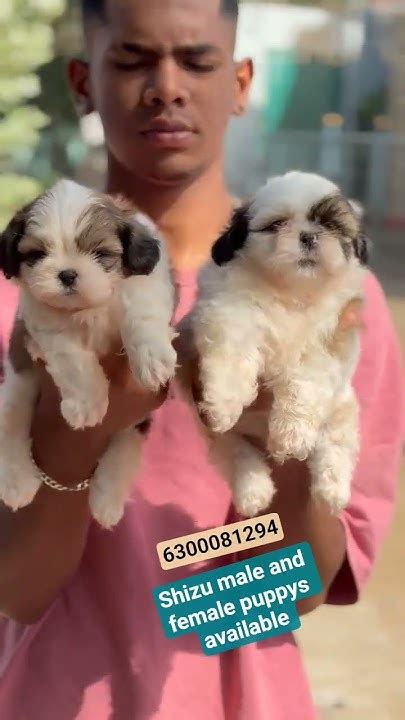 Call Me Shizu Onlyfans Leak XXX 🔥 228 Photos