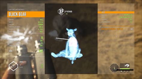 The most sure way of getting 100% quick kill bonus is to use the most powerful caliber allowed for that animal, and going for a lung or heart shot. Let's say you're hunting a class 4 animal. Using the 7 mm (suitable for classes 4 - 9) will drop a class 4 animal so fast with a decent shot, you're bound to get quick kill bonus..