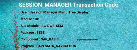 Call the Session Manager menus - SAP TCodes