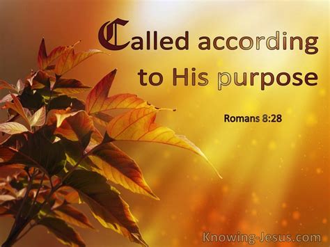 Called According To God's Purpose