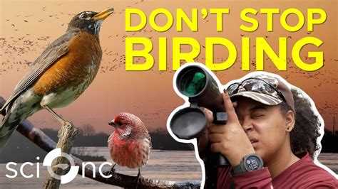 Calling All Birders: It