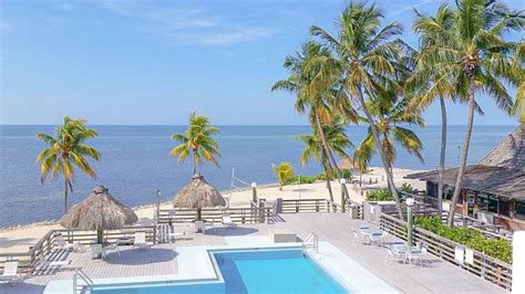 Book Caloosa Cove Resort & Marina, Islamorada on Tripadvisor: See 250 traveler reviews, 160 candid photos, and great deals for Caloosa Cove Resort & Marina, ranked #2 of 11 specialty lodging in Islamorada and rated 4 of 5 at Tripadvisor..