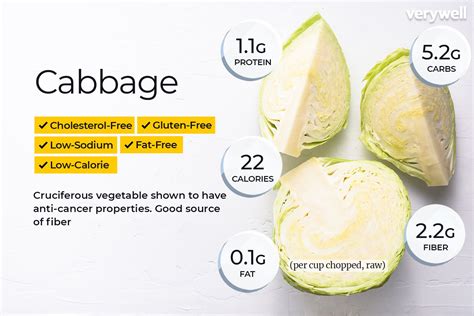 Calories in 1 cup of shredded Cabbage and Nutrition …