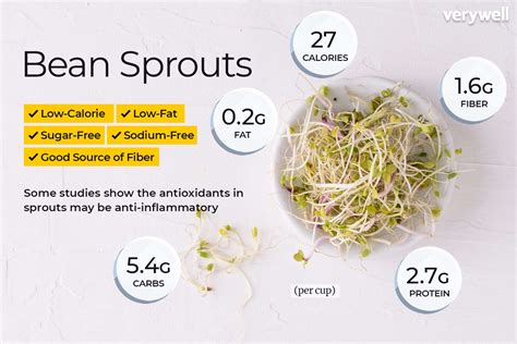 Calories in Canned Bean Sprouts - Nutritional Information …