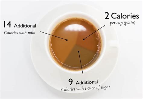 Calories in Chia Tea - Calorie, Fat, Carb, Fiber, & Protein Info