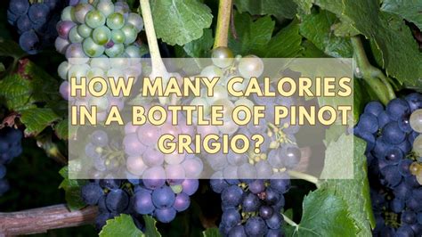 Calories in a Bottle of Pinot Grigio / Nourriture et boisson