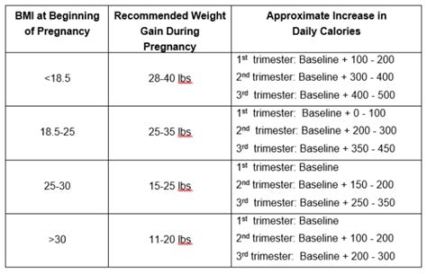Calories needed in third trimester