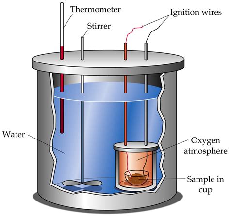 Calorimetry: Direct & Indirect Methods – NutritionFact.in