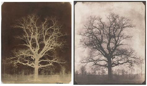 Calotype process