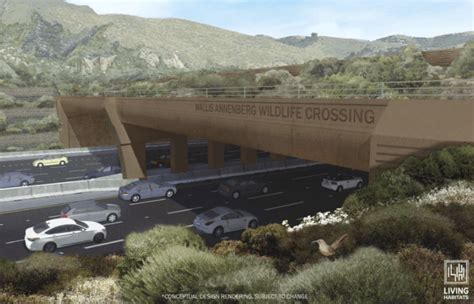 Caltrans provides update on world's largest wildlife crossing