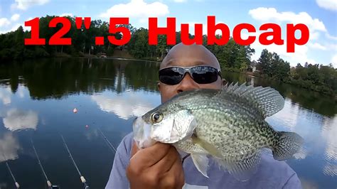 Cam's crappie hole. Things To Know About Cam's crappie hole. 