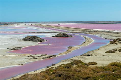 Camargue
