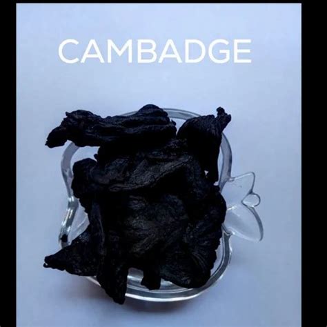 Cambadge Onlyfans Leak