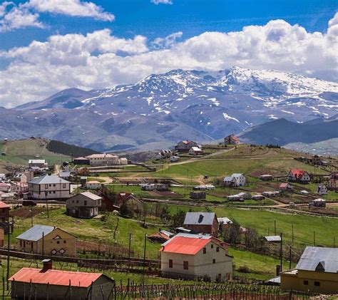 Cambasi Halı ve Koltuk Yıkama
