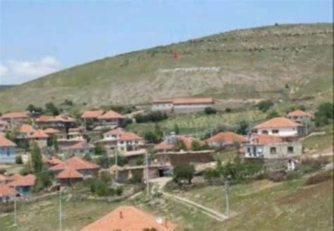 Cambeyli Halı ve Koltuk Yıkama