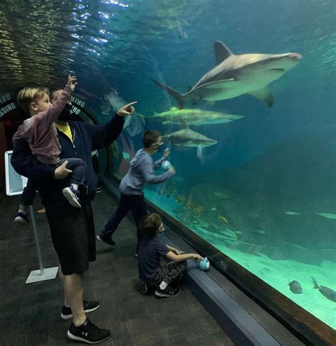 The Great Lakes Aquarium offers discounted admission