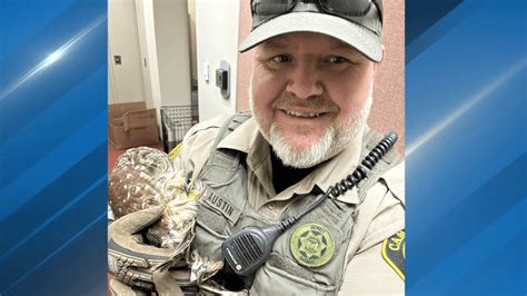 Camden county arrests.  Camden County deputy severely injured while chasing...