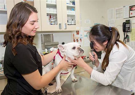 Camden pet hospital. Book an appointment and read reviews on Camden Pet Hospital, 4960 Camden Avenue, San Jose, California with TopVet 