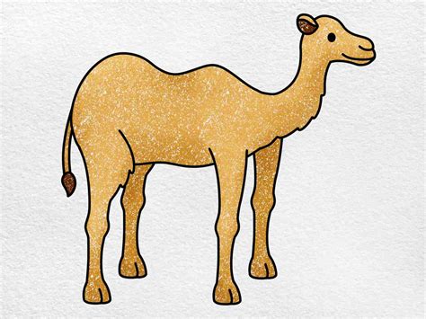 Camel drawing. Things To Know About Camel drawing. 