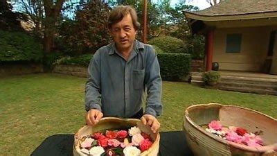 Camellias - Gardening Australia - ABC