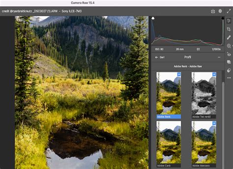 Camera Raw ile İş Profilleri Optimal Şekilde Düzenleme.