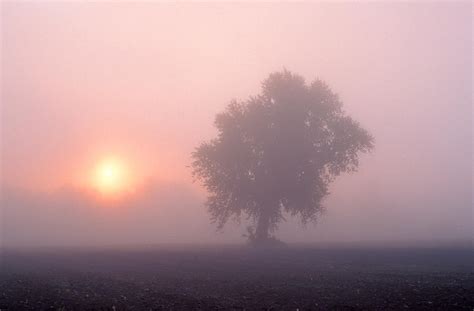 Camera Settings for Capturing Early Morning Mist - SNAPSHOT