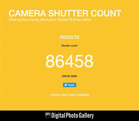 codini.rgarabwor.edu.pl. 