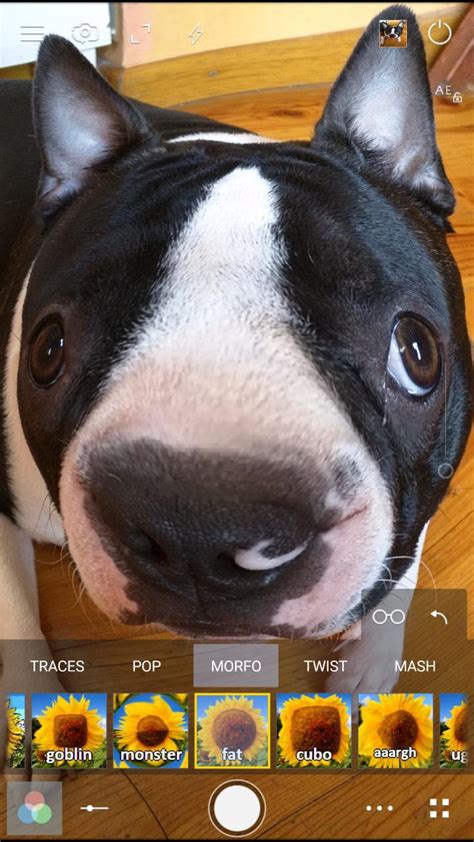 Cameringo Lite Filters Camera APK Download for Android 