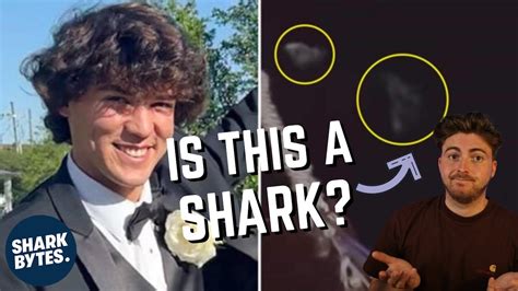 Cameron robbins shark video. Things To Know About Cameron robbins shark video. 
