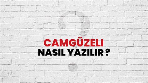Camguzeli Halı ve Koltuk Yıkama
